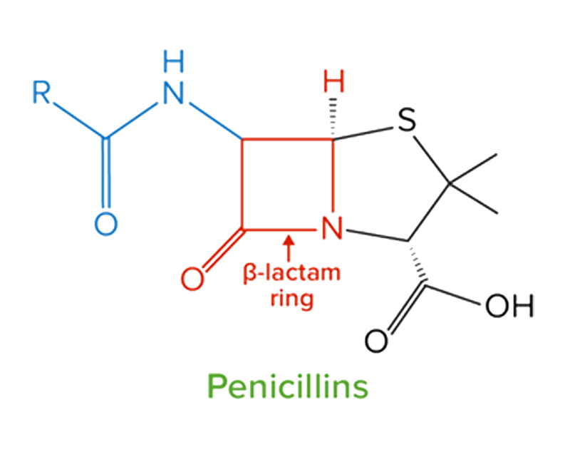 penicillin structure