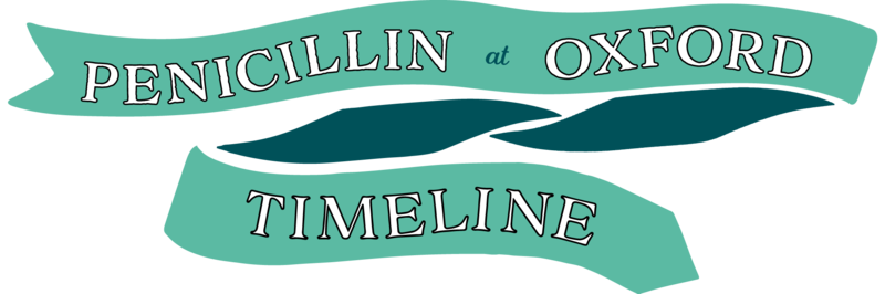 penicillin timeline banner